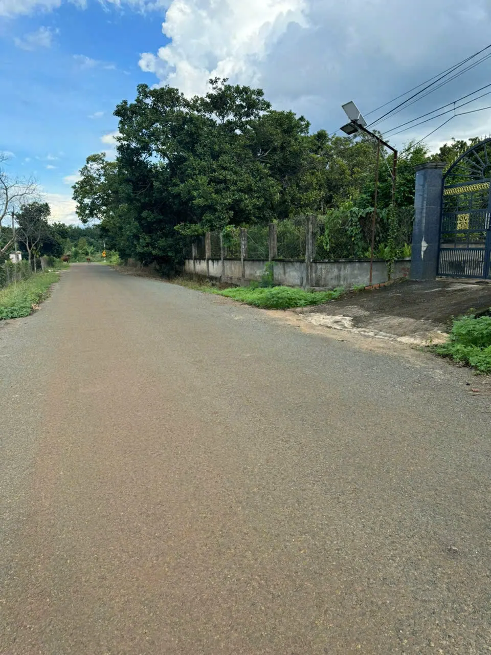 Bán đất nền giá rẻ Bình Phước ban-dat-ne-binh-phuoc-gia-re (13)