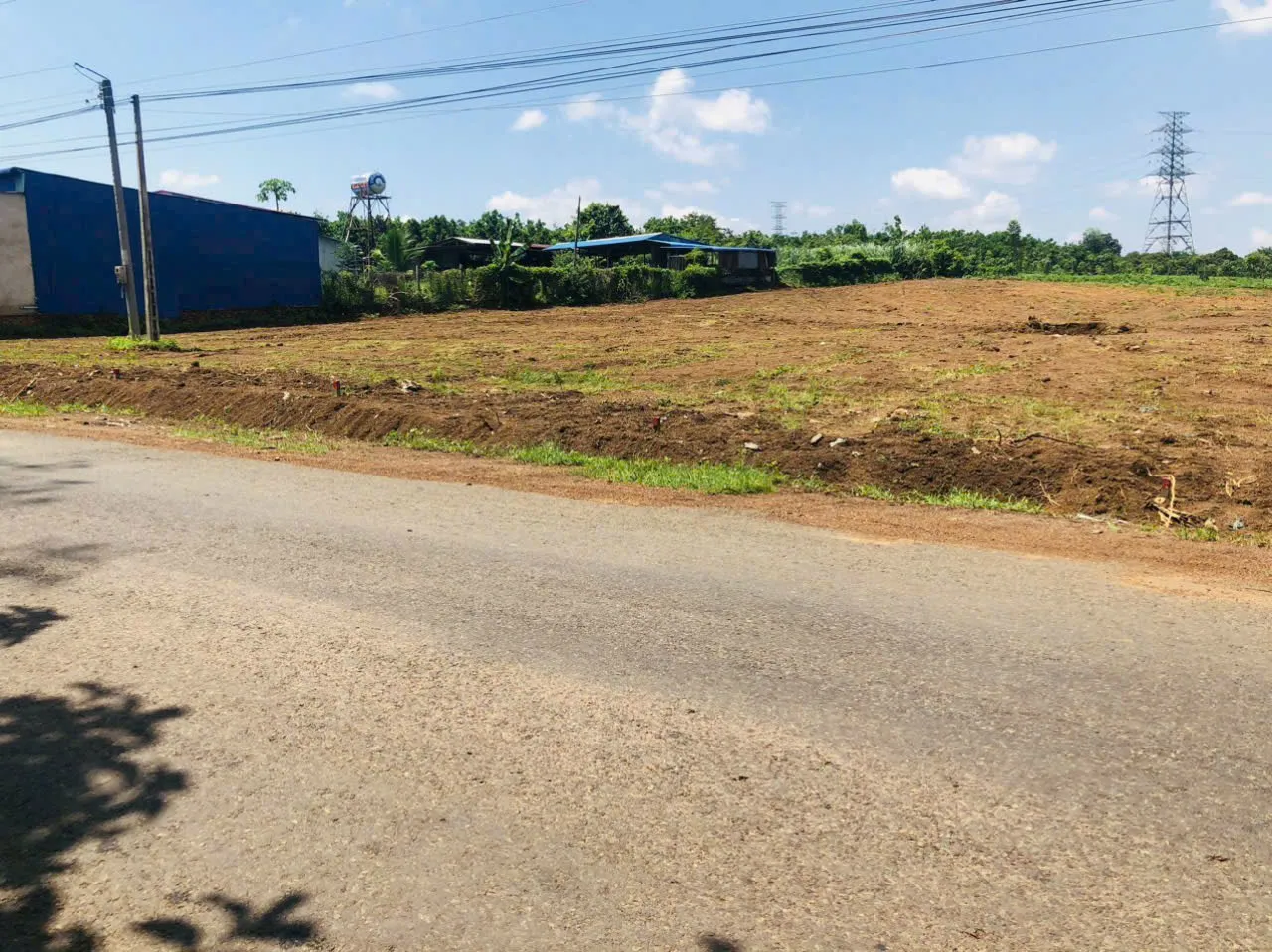 Bán đất nền giá rẻ Bình Phước ban-dat-ne-binh-phuoc-gia-re (8)