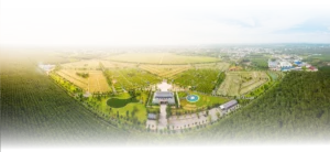 Thông tin bất động sản Hoa viên sala garden