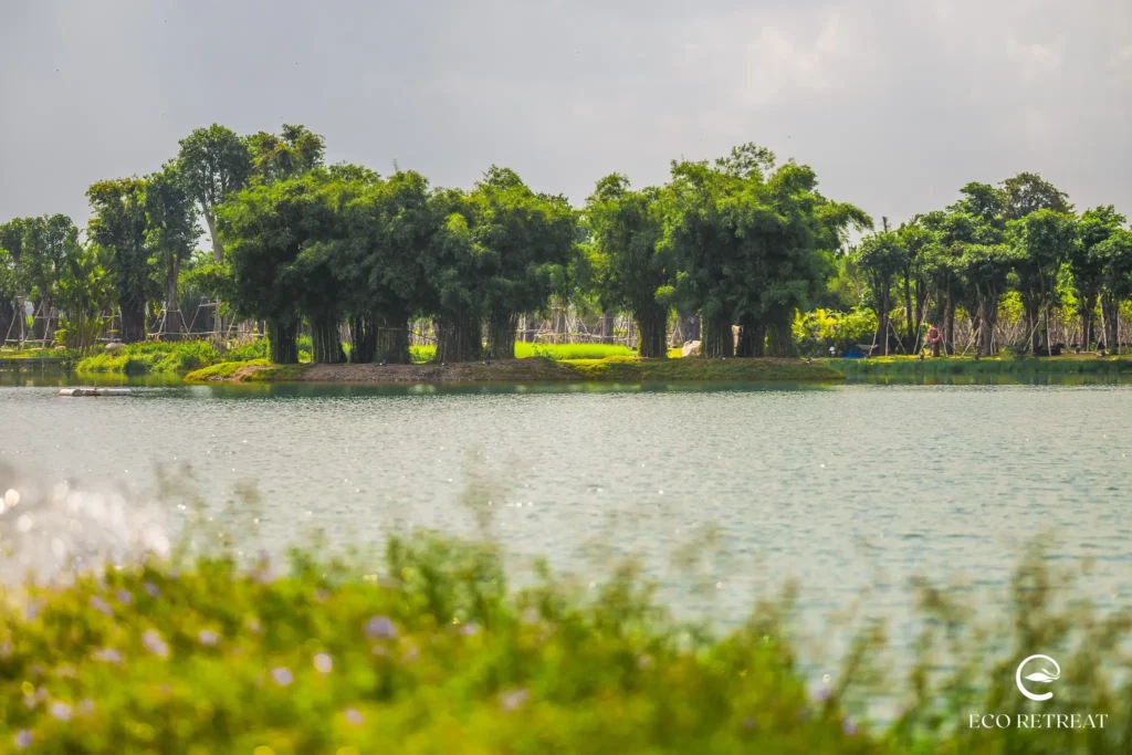 Eco Retreat bàn giao chưa