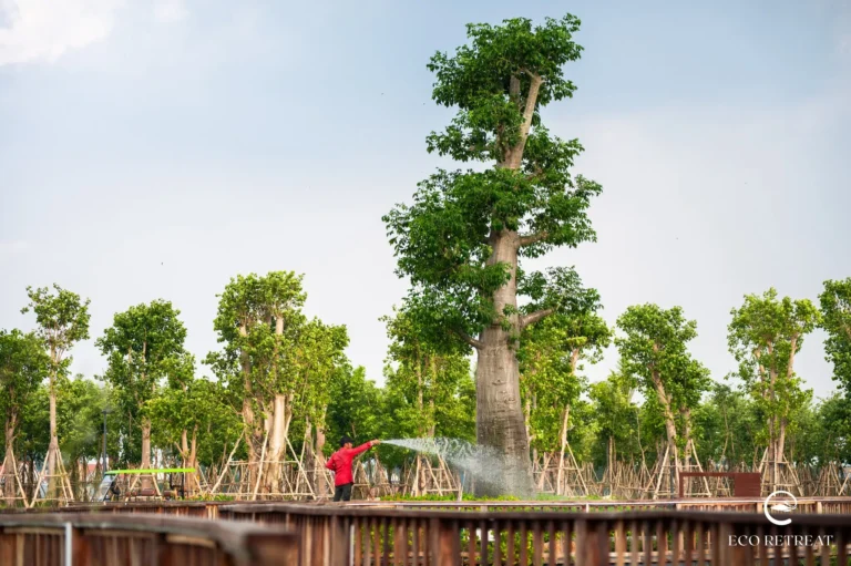 Vườn ươm cây xanh nội khu – Hàng trăm nghìn cây con đang được chăm sóc, sẵn sàng phủ xanh toàn bộ dự án trong giai đoạn hoàn thiện tiếp theo.