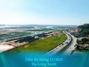 Vin Hạ Long Xanh bao giờ khởi công?