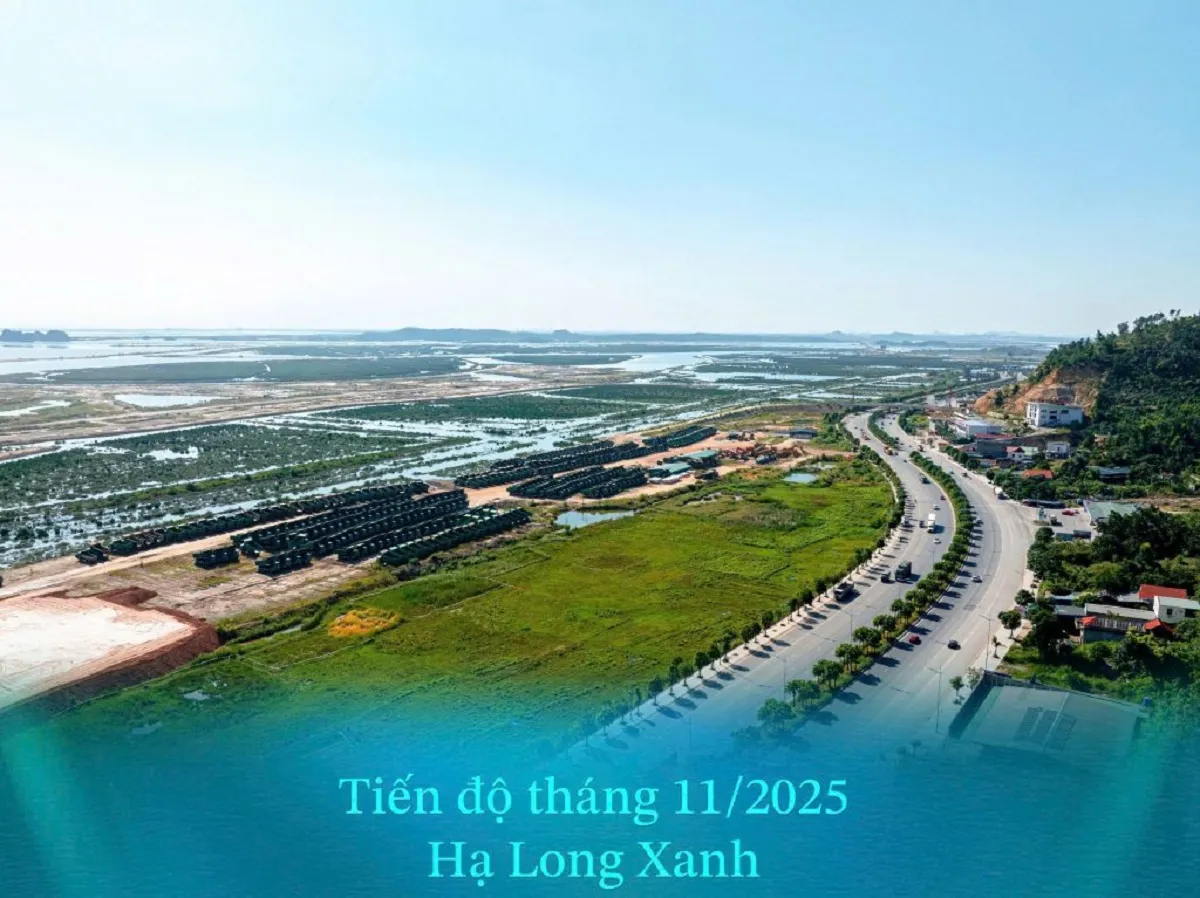 Vin Hạ Long Xanh bao giờ khởi công?