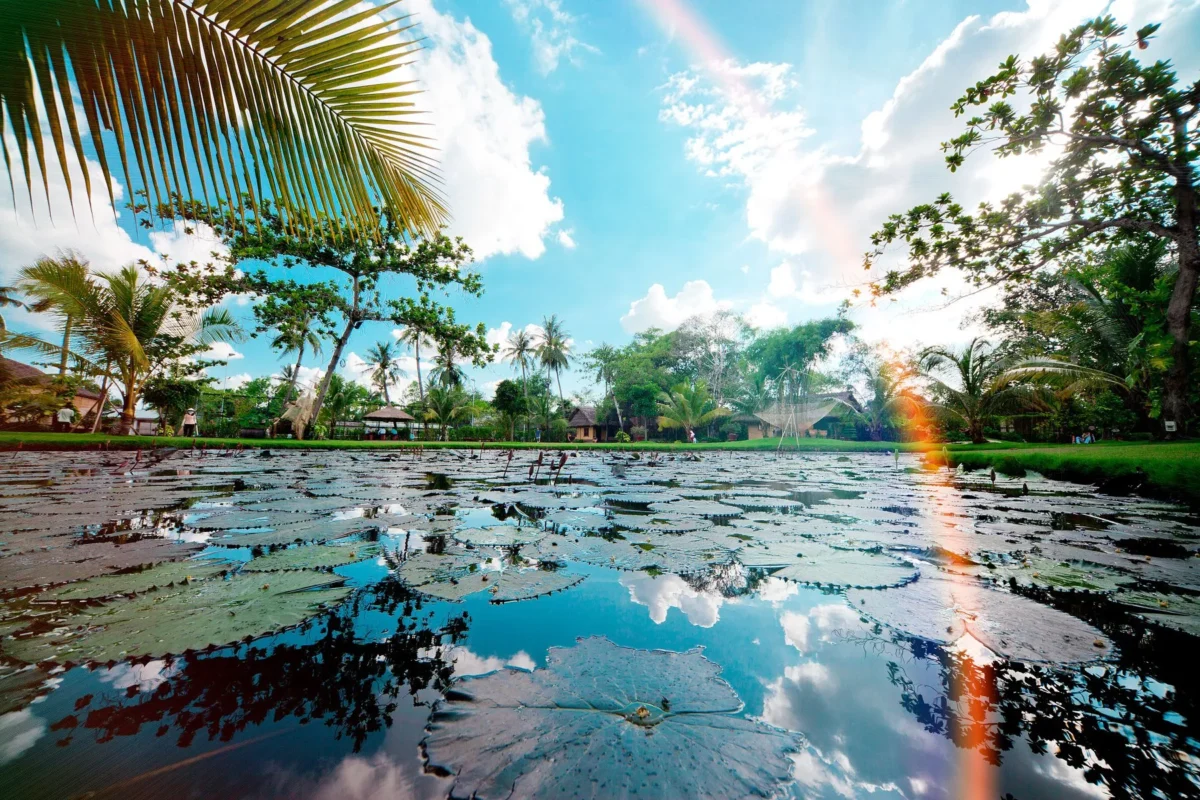 Bình Quới: Khu du lịch với hàng loạt dự án bất động sản cao cấp sắp ra mắt