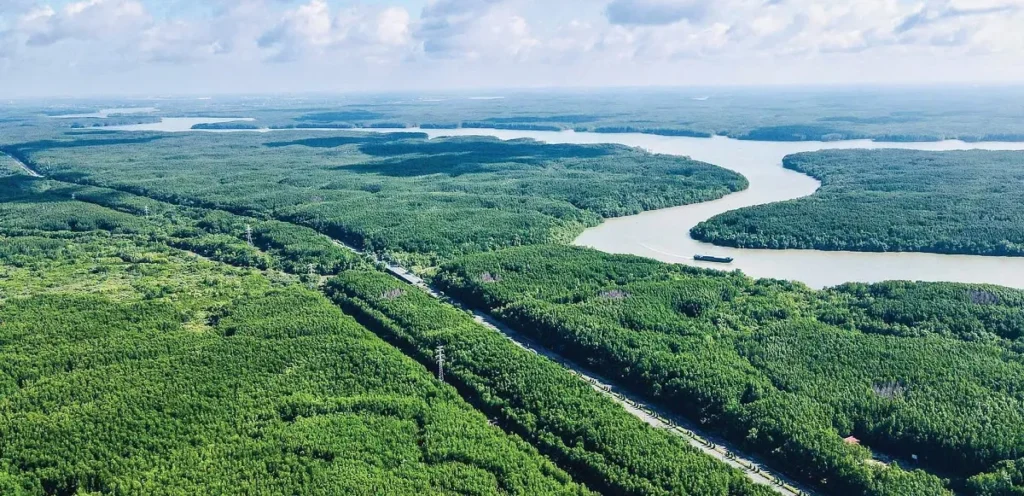 Cần Giờ hiện tại thuộc tỉnh nào? Đường đi, có gì chơi và các dự án mới nhất Cần Giờ hiện tại thuộc tỉnh nào?