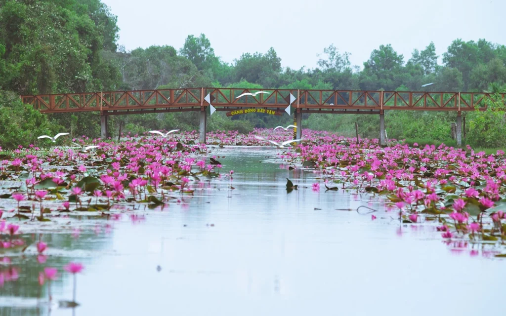 bất động sản và du lịch tại thành phố Long AN cũ