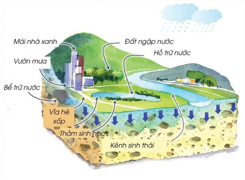 thanh pho bot bien sponge city la gi 1