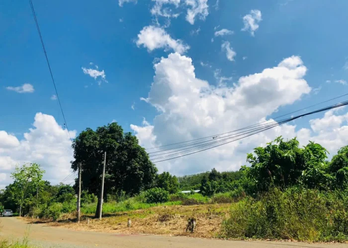 ban-dat-ne-binh-phuoc-gia-re (15)